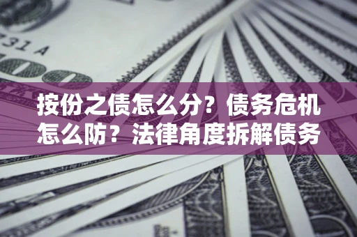 武汉按份之债怎么分？债务危机怎么防？法律角度拆解债务分配与风险自保指南