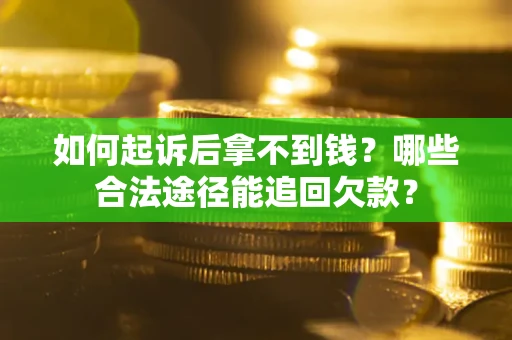 武汉如何起诉后拿不到钱？哪些合法途径能追回欠款？