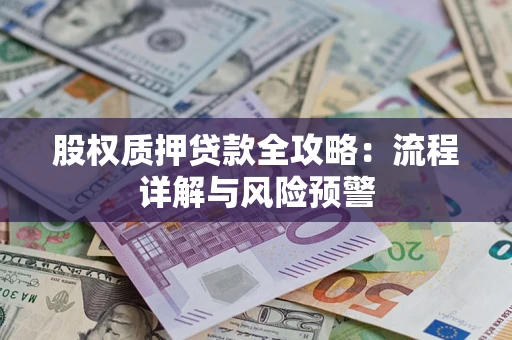 武汉股权质押贷款全攻略：流程详解与风险预警