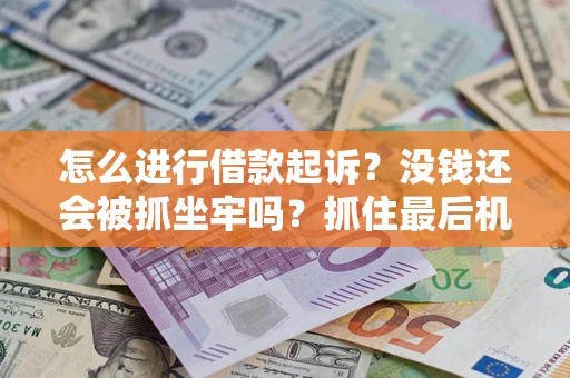 武汉怎么进行借款起诉？没钱还会被抓坐牢吗？抓住最后机会！
