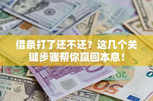 武汉借条打了还不还？这几个关键步骤帮你赢回本息！