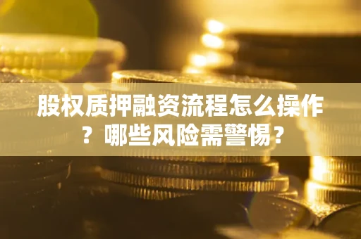武汉股权质押融资流程怎么操作？哪些风险需警惕？