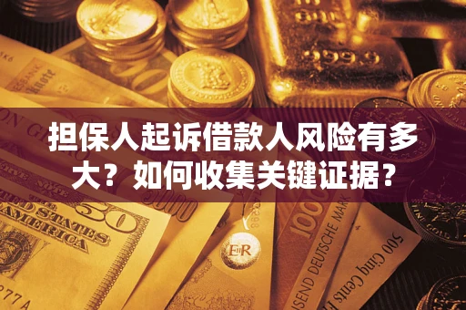 武汉担保人起诉借款人风险有多大？如何收集关键证据？