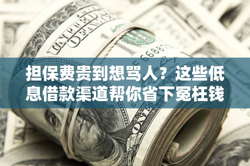 武汉担保费贵到想骂人？这些低息借款渠道帮你省下冤枉钱