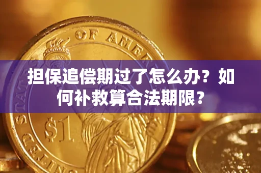 武汉担保追偿期过了怎么办？如何补救算合法期限？
