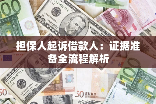 武汉担保人起诉借款人：证据准备全流程解析