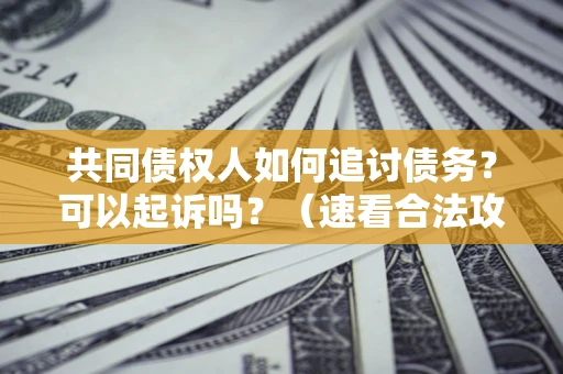 武汉共同债权人如何追讨债务？可以起诉吗？（速看合法攻略）