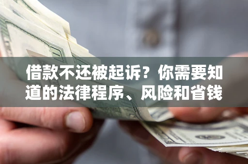 武汉借款不还被起诉？你需要知道的法律程序、风险和省钱技巧