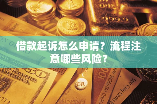 武汉借款起诉怎么申请？流程注意哪些风险？