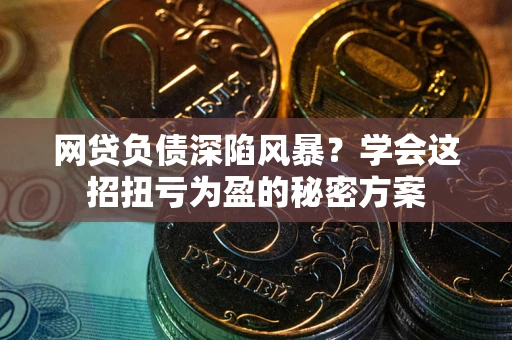 武汉网贷负债深陷风暴？学会这招扭亏为盈的秘密方案